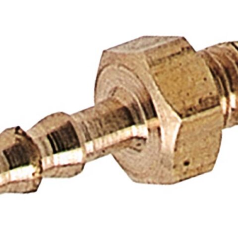 Straight Hosetail