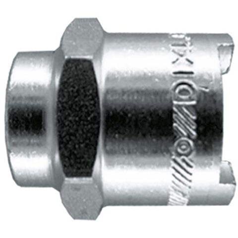 Female BSP