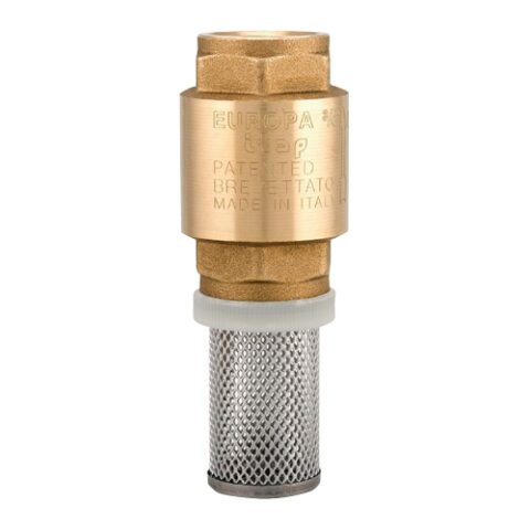 EUROPA Foot Valve BSPP Female