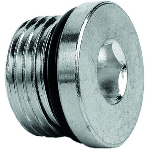 Allen Key Plug c/w O-ring