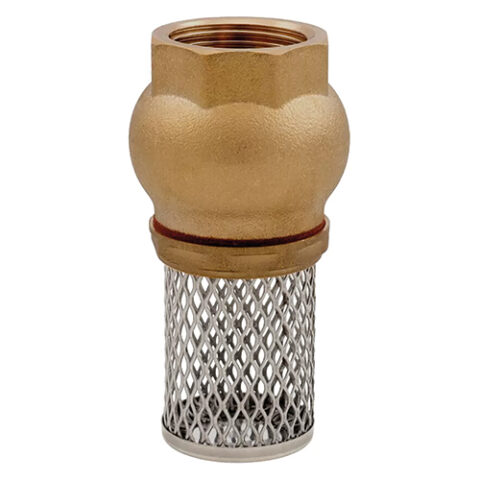 Foot Valve BSPP Female