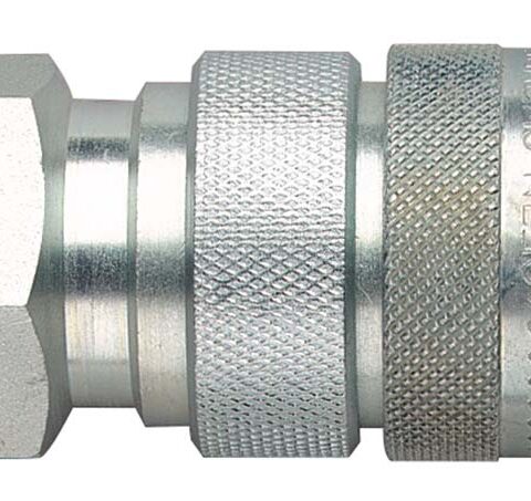 NPT Female
