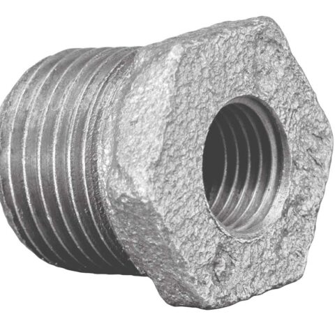 CRANE Hexagon Bush BSPT Galv.