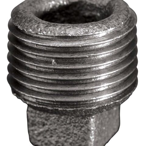 Plain Plug Hollow