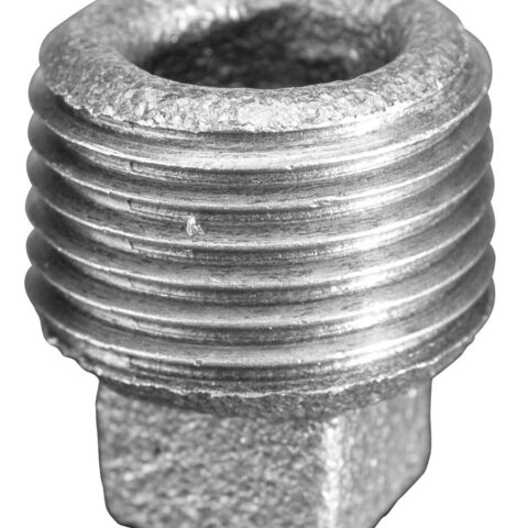 Plain Plug Hollow