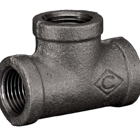 Female Equal Tee