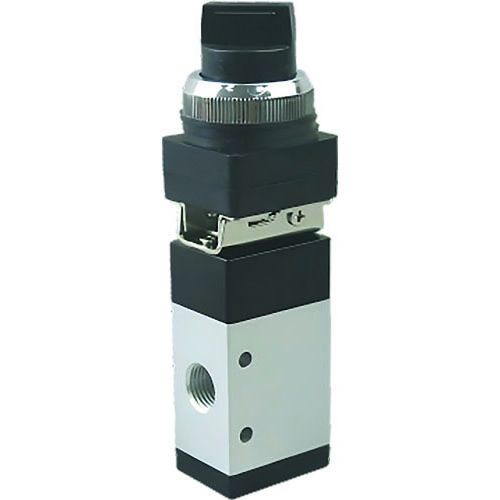 Two Position Selector Switch Valve with Indicating Arrow