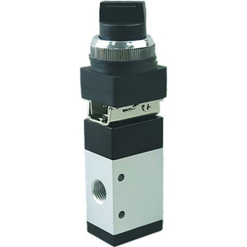 Two Position Selector Switch Valve with Indicating Arrow