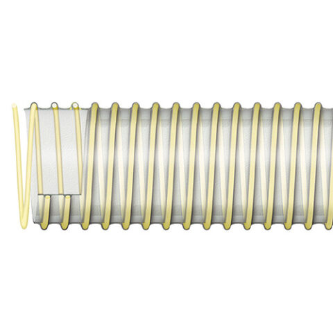 Transparent with Ivory Spiral