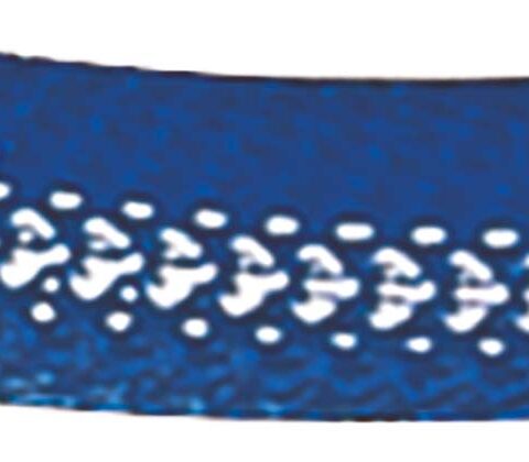 PCX - Blue