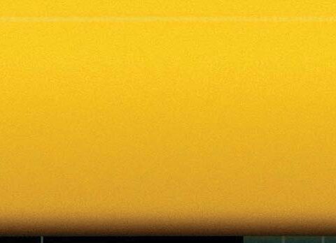 Yellow Lay Flat