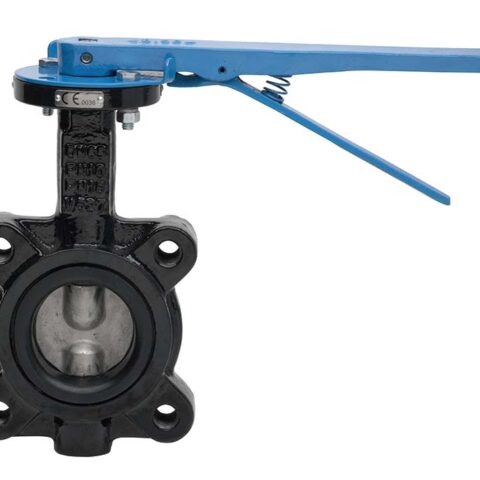 Lugged - Stainless Steel Disc