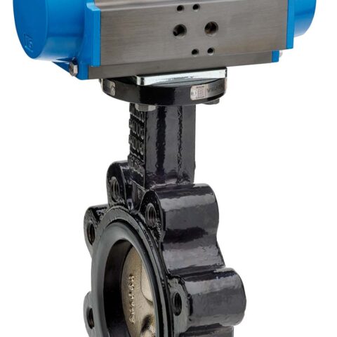 Lugged - Cast Iron Disc Double Acting