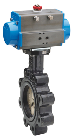 Lugged - Cast Iron Disc Single Acting