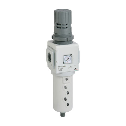 Filter/Regulator - 25 Micron - With Pressure Gauge