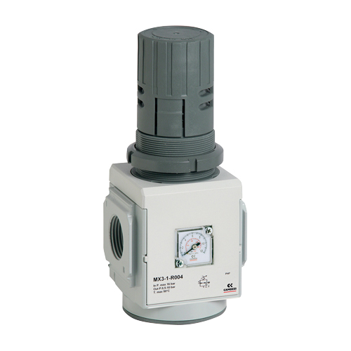 Pressure Regulators 0.5 to 10 Bar Self Relieving