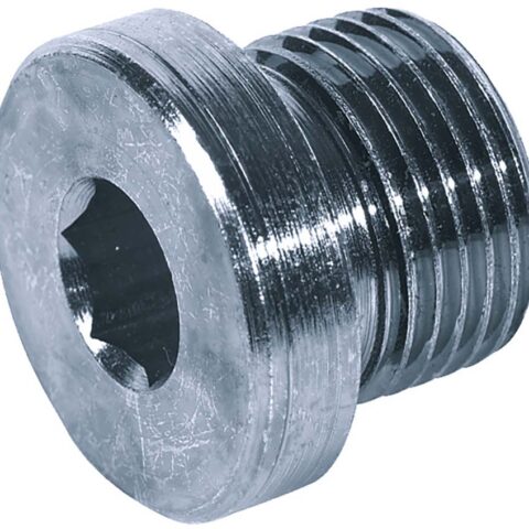 Allen Key Head Plug With O-Ring - Metric Male